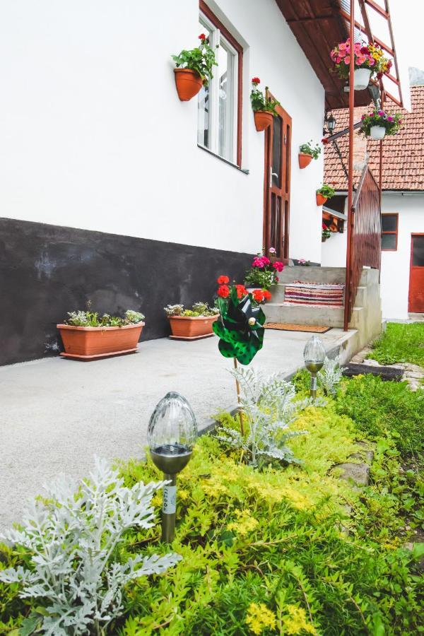 Casa de vacanță Hársfa Vendégház Rimetea Extérieur photo