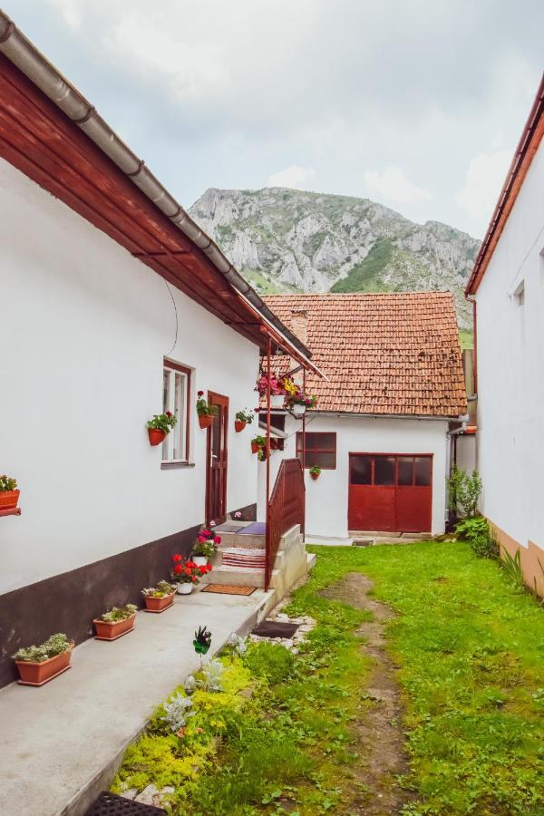 Casa de vacanță Hársfa Vendégház Rimetea Extérieur photo